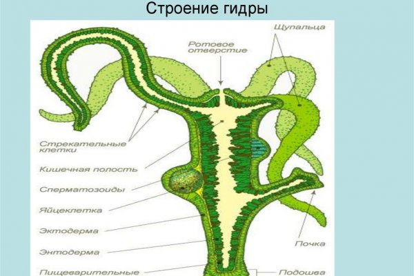 Кракен оригинальные ссылка в тор