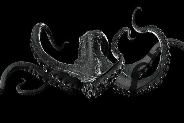 Kraken cc