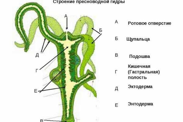 Сайт kraken в tor